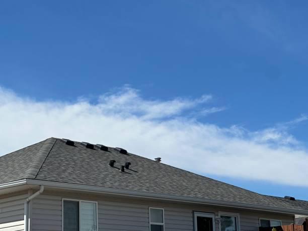 Best Emergency Roof Repair Services  in Dublin, OH